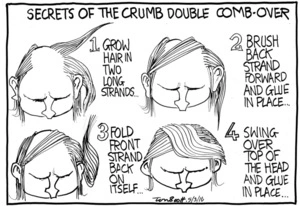 Secrets of the crumb double comb-over