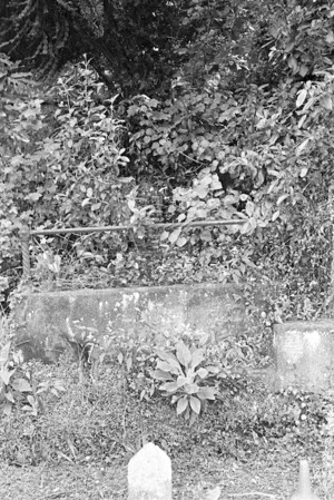 Stevenson family grave, plot 5201, Bolton Street Cemetery