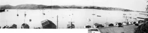 Evans Bay from bank above 424 Evans Bay Parade; Kilbirnie isthmus on extreme right. 22 February 1948