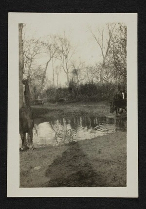 Horses of the 4th Battalion Grenadier Guards drinking from a pond at Ecques, France, during World War One