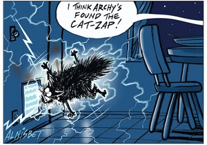 Cat zap