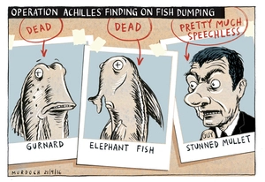 Operation Achilles' finding on fish dumping