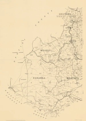 Map of Waikohu County.