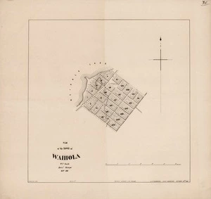 Plan of the town of Waihola [electronic resource] / W.P. Smith, J. Douglas, delt.