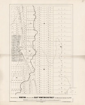 Plan of the Town of Winton & Blocks I to VIII East Winton District [electronic resource] / drawn by F.W. Flanagan.