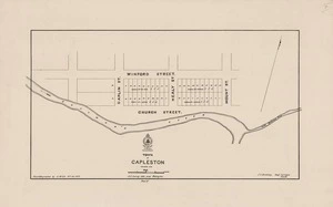 Town of Capleston, Nelson, N.Z.