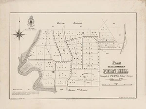 Plan of the township of Fern Hill / surveyed by T.B. McNeil, contract surveyor ; drawn by James Fraser.