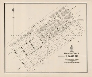 Plan of the town of Dromore / T.M.H. Johnston, surveyor, July, 1879.