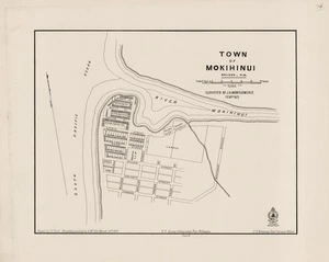 Town of Mokihinui / surveyed by J.A. Montgomerie Febry. 1875 ; drawn by H. Trent.
