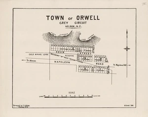 Town of Orwell : Grey Circuit, Nelson, N.Z. / surveyed by C. Galwey, February 1879 ; H. Trent, Delt.
