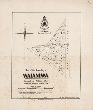 Plan of the township of Waianiwa / surveyed by William Hay, assistant surveyor, August 1879 ; drawn by James Fraser.
