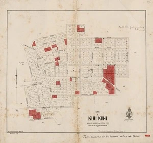 Town of Kihi Kihi / surveyed by Gundry and Goodall 1865 ; W.E. Ballantyne Drftm.