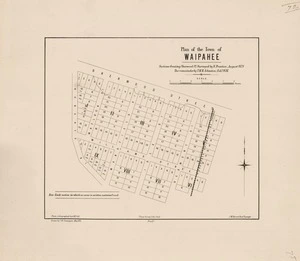Plan of the town of Waipahee [electronic resource] surveyed by N. Prentice, August 1874. The remainder / by T.M.H. Johnston, Feby. 1876 ; drawn by F.W. Flanagan, May 1876.