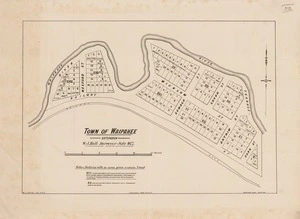 Town of Waipahee extension / / W.J. Hall, surveyor, July 1877.