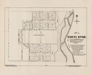 Town of Wrey's Bush : Blocks II to XI inclusive / surveyed by John Innes ; drawn by J.G. Clare.