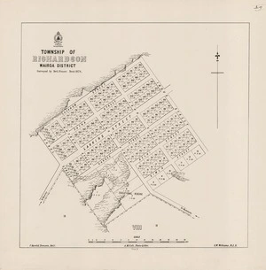 Township of Richardson : Wairoa District / surveyed by De G. Fraser ; F. Harold Tronson, delr.