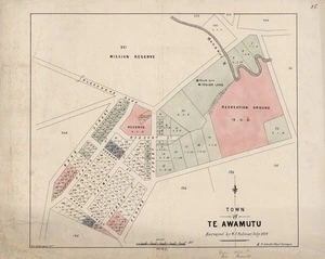Town of Te Awamutu / surveyed by W J Palmer July 1878 ; W.E. Ballantyne Drfm.