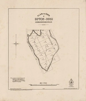 Plan of the town of Dipton-Bush [electronic resource] F.H. Geisow District Surveyor, October 1868 ; drawn by G. Murray Jany 29th 1878.