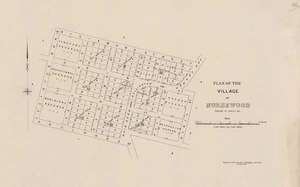 Plan of the village of Norsewood, province of Hawke's Bay / [surveyed by] Charles Weber.