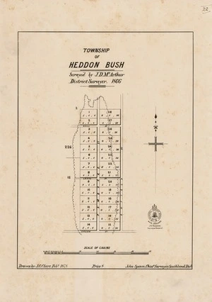 Township of Heddon Bush [electronic resource] surveyed by J.D. McArthur, district surveyor, 1866 ; drawn by J.G. Clare, Feby. 1878.