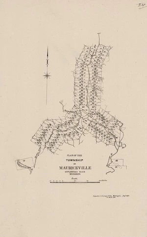 Plan of the township of Mauriceville, Kopuaranga Block, Wairarapa.