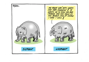 Elephant vs Sycophant