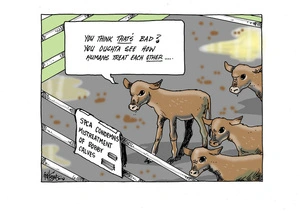 SPCA condemns mistreatment of bobby calves