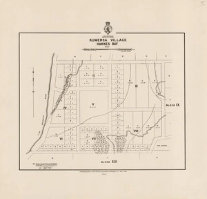 Kumeroa Village, Hawkes Bay / surveyed by F. Gillett, Decr. 31st. 1879 ; Francis Dunnan Draftsman.