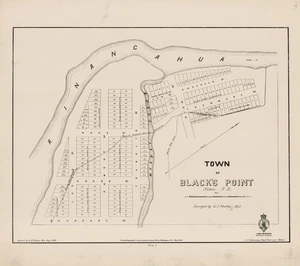 Town of Black's Point : Nelson, N.Z. / surveyed by G.J. Woolley, 1875 ; drawn by A. McKellar Wix.
