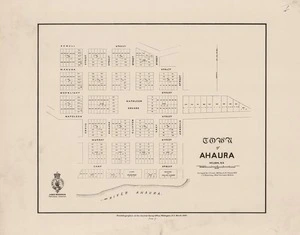 Town of Ahaura, Nelson, NZ / surveyed by J.H. Lowe 1867 and H.J. Lewis 1873.