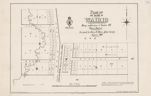 Plan of the village of Wairio : being subdivision of section 121 Wairio District / surveyed by Henry E. Moors, assist. surveyor, August 1880 ; drawn by James Fraser.