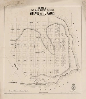 Village of Te Kauri / surveyed by E.C. Goldsmith, Dist. Surveyr. Sepr. 1879 ; W. Ballantyne drftm. Jany 1881.