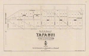 Part of the township of Tapanui / W.D. Murray, asst. surveyor, Oct. 1880 ; W.J. Percival lith.16.3.81.