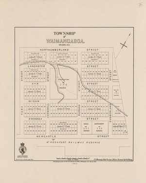 Township of Waimangaroa, Nelson, N.Z. / drawn by D.J. Brown ; J.S. Browning, Chief Surveyor, Nelson ; surveyed by R.A. Young.