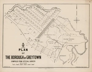 Plan of the borough of Greytown : compiled from official surveys / H.M. McCaull Delr.