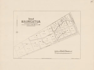 Town of Maungatua [electronic resource] / surveyed by S.G. Thompson, 1869 & G. Mackenzie, 1882 ; W.J. Percival, delt..