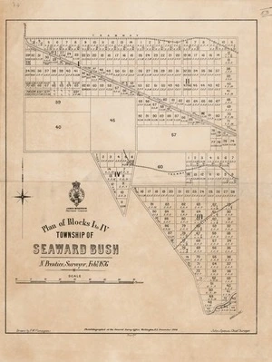 Plan of Blocks I to IV, township of Seaward Bush / N. Prentice, surveyor, Feby. 1876 ; drawn by F.W. Flanagan.