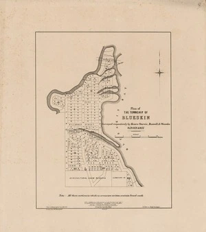 Plan of the township of Blueskin [electronic resource] surveyed respectively by Messrs. Garvie, Russell & Shanks, 1859, 1870 & 1875 ; photo-lithographed by A. McColl ; drawn by F.W. Flanagan ; J. McKerrow, chief surveyor.