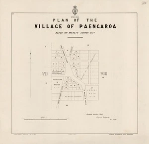 Plan of the village of Paengaroa : Block VIII Maketu Survey Dist.