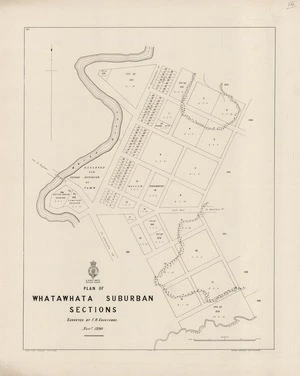 Plan of Whatawhata suburban sections / surveyed by F.H. Edgecumbe Novr. 1890.