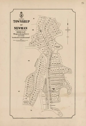 Township of Newman [electronic resource]  : blocks II & VI Mangaone Survey District / drawn by H. McCardell, August 1893 ; J.H. Baker, assistant Surveyor-General.