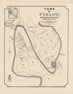 Town of Purangi & suburban sections : Ngatimaru Survey District / surveyed by H.M. Skeet ; W. Gordon del.