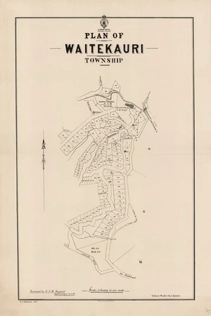 Plan of Waitekauri Township / surveyed by H.D.M. Haszard, asst. surveyor ; W.E. Ballantyne drft.