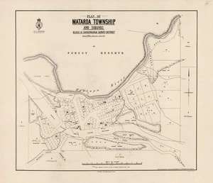Plan of Mataroa township : and suburbs, Block IX, Ohinewairua survey district / James McKay, surveyor June 1901, H. Armstrong, delt.