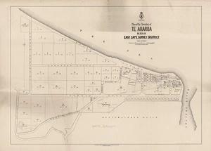 Plan of the township of Te Araroa : block IX East Cape Survey District / surveyed by W.J. Wheeler, 1899.