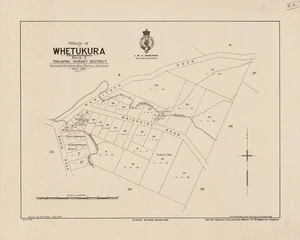 Village of Whetukura : block X, Takapau Survey District / surveyed by James Hay (District Surveyor) ; drawn by W.T. Nelson.