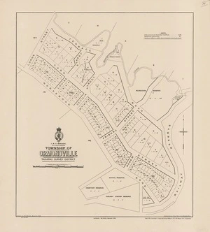 Township of Ormondville : Takapau Survey District / drawn by W.T. Nelson.