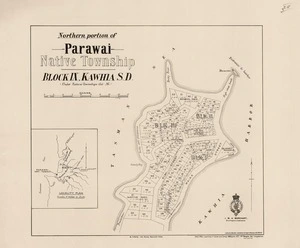 Northern portion of Parawai Native Township : block IX, Kawhia S.D. (under Native Townships Act .95).