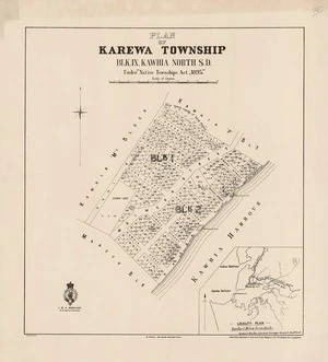 Plan of Karewa Township : blk. IX, Kawhia North S.D. : under "Native Townships Act, 1895".