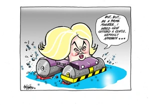 Judith Collins